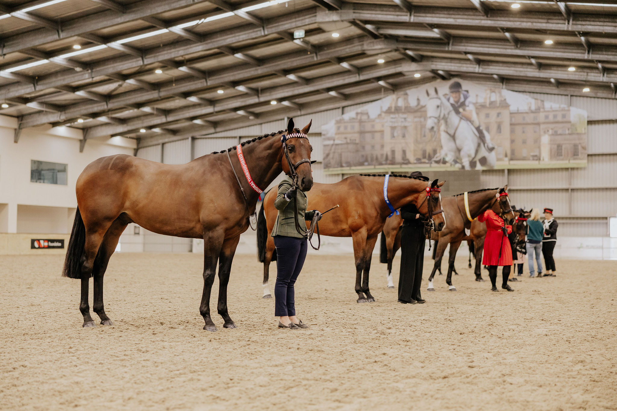 group photo national thoroughbred show