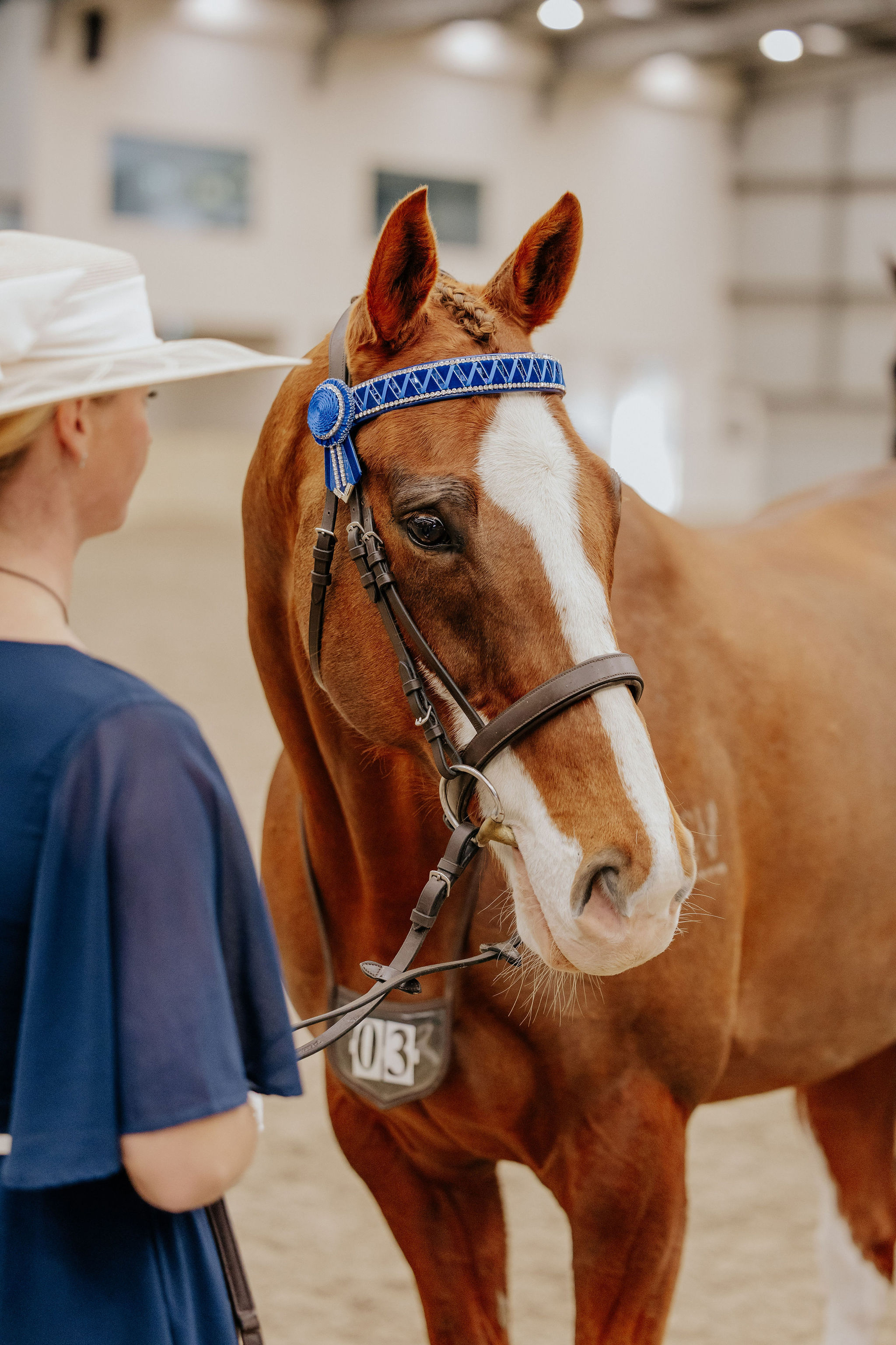 Thoroughbred Show