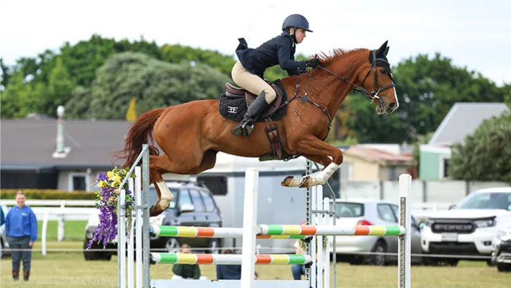 Horse