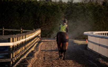 Rider on a horse crossing a sunlit wooden bridge.