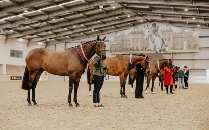 group photo national thoroughbred show