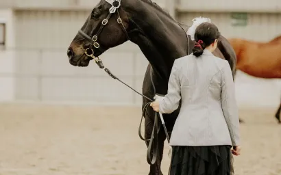 thoroughbred show
