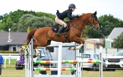 Horse